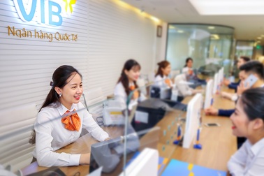 Thu nhập từ 7 triệu đồng nên dùng thẻ tín dụng nào?