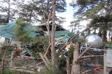 Mưa lớn, cây đổ đè hai vợ chồng thương vong