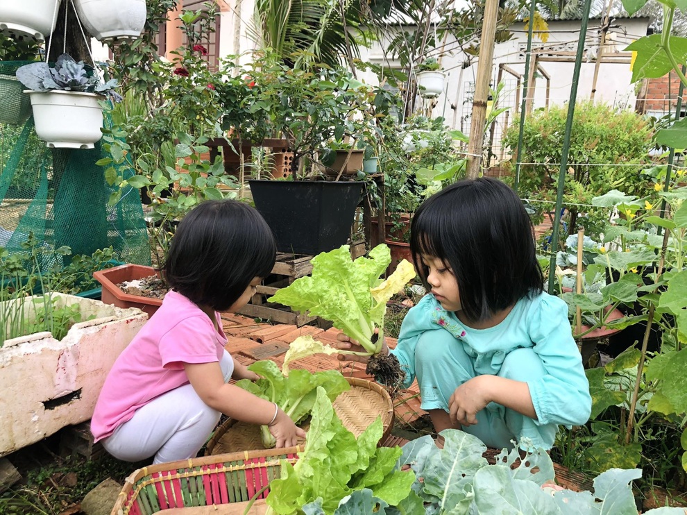 Mẹ đảm Đồng Nai 6 tháng ròng rã cải tạo mảnh đất cằn cỗi làm vườn xanh - 11 Mẹ đảm Đồng Nai 6 tháng ròng rã cải tạo mảnh đất cằn cỗi làm vườn xanh - 11