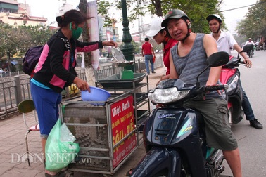 Lạ mắt sâu, dế, rết... bày bán nhan nhản giữa phố Thủ đô