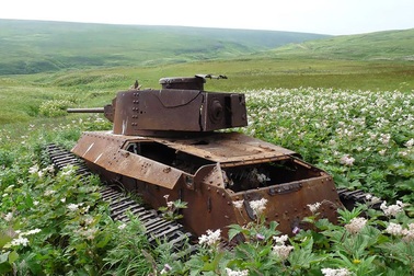 Khoảnh khắc ấn tượng của "tàn tích chiến tranh" chìm trong vẻ đẹp thiên nhiên