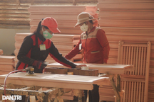 Hơn 24.000 người thành thất nghiệp, Bình Định tìm cách gỡ