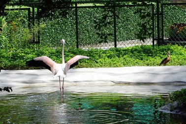 Lạc vào những khu vườn đẹp nhất Đông Nam Á