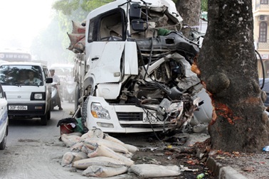 Xe tải hạng nặng “phanh” bằng gốc cây bên đường