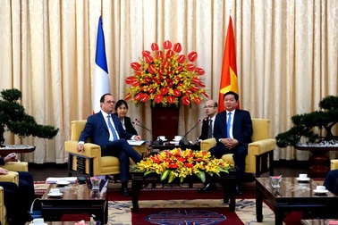 Tổng thống Pháp hội kiến Bí thư Đinh La Thăng