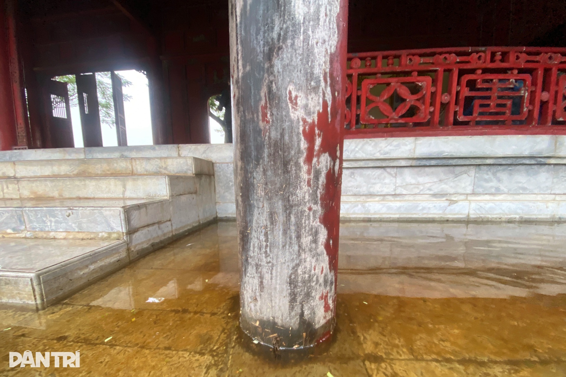 Cận cảnh đoạn tường đổ sập, cột gỗ ẩm mốc bên trong Hoàng thành Huế - 11 Cận cảnh đoạn tường đổ sập, cột gỗ ẩm mốc bên trong Hoàng thành Huế - 11