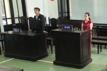 Lĩnh án 9 tháng tù vì xé biên bản, tấn công cảnh sát giao thông