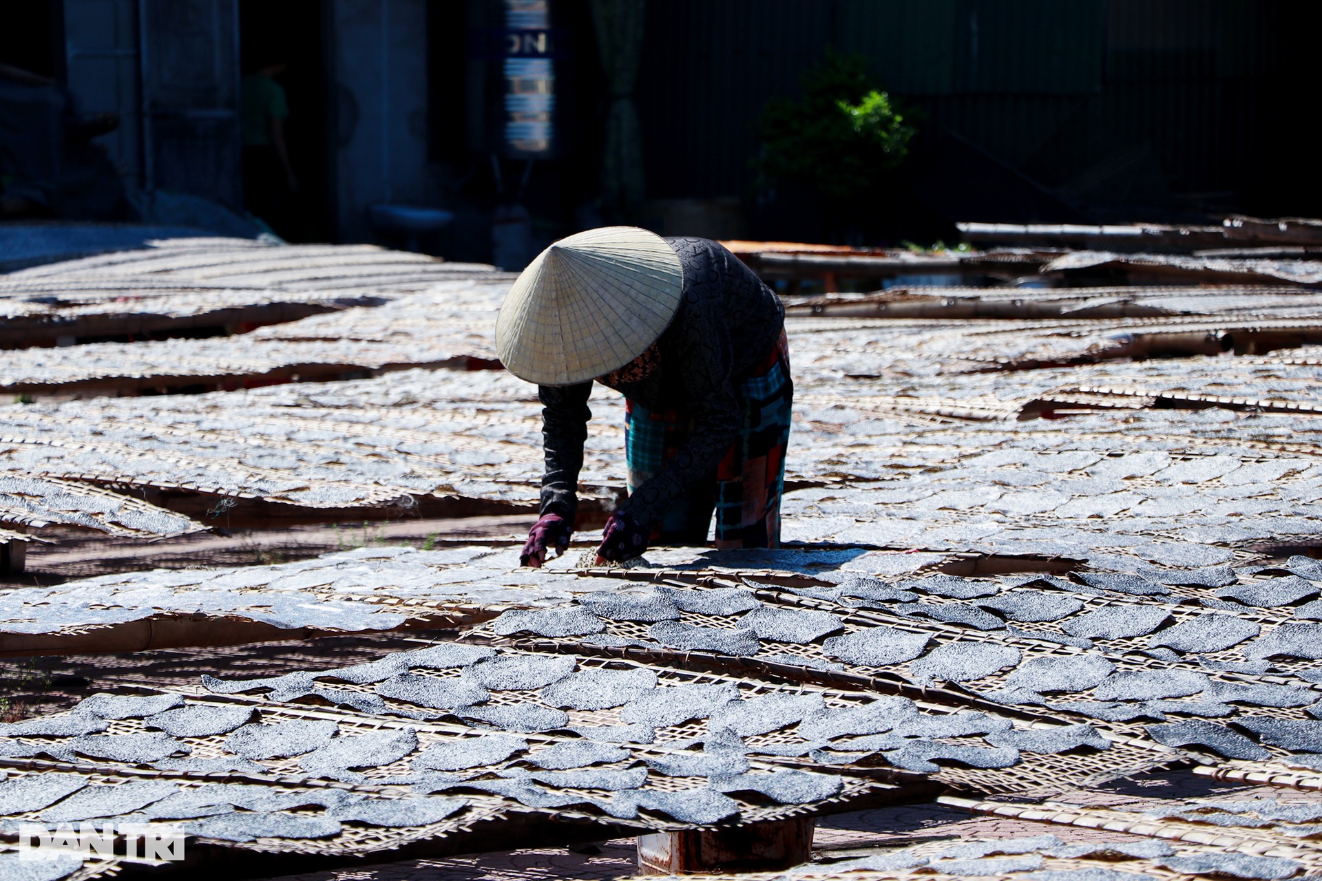 A place where women cook, dry in the sun to create a cake that brings in 4.5 billion VND per year - 9