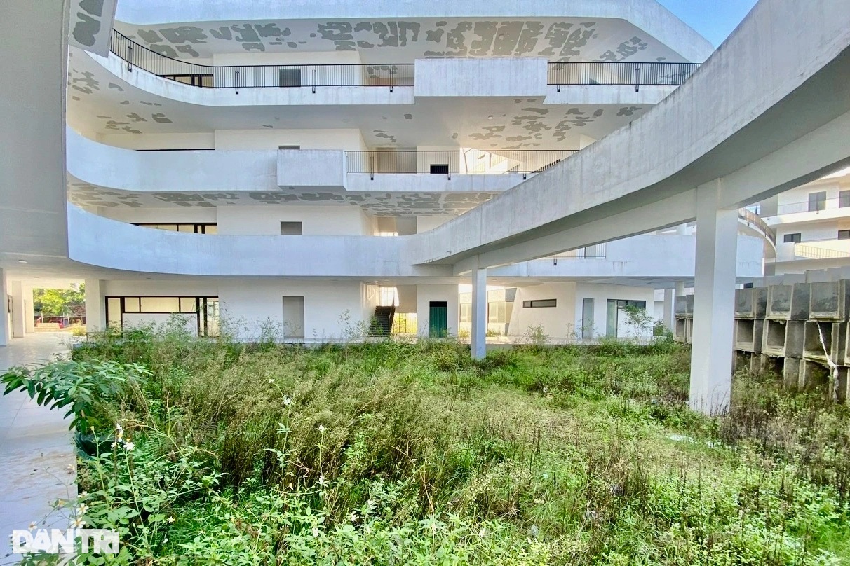 Det berømte spesialskoleprosjektet i Nghe An, som investerte nesten 100 milliarder VND, er forlatt - 6 Dự án trường chuyên nổi tiếng Nghệ An đã đầu tư gần 100 tỷ đồng bị bỏ không - 6