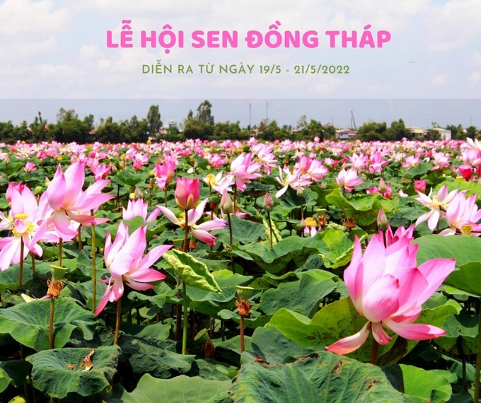 Lễ hội Sen Đồng Tháp lần thứ I - năm 2022 được tổ chức với qui mô cấp tỉnh, có chủ đề “Sen ngày mới”, nhằm tôn vinh hoa Sen, phát huy giá trị văn hóa – kinh tế cho các sản phẩm chế biến từ cây Sen Đồng Tháp,...