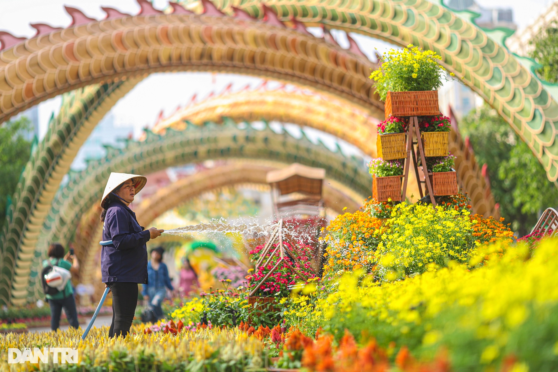 Diện mạo đường hoa Nguyễn Huệ trước ngày mở cửa - 4 Diện mạo đường hoa Nguyễn Huệ trước ngày mở cửa - 4