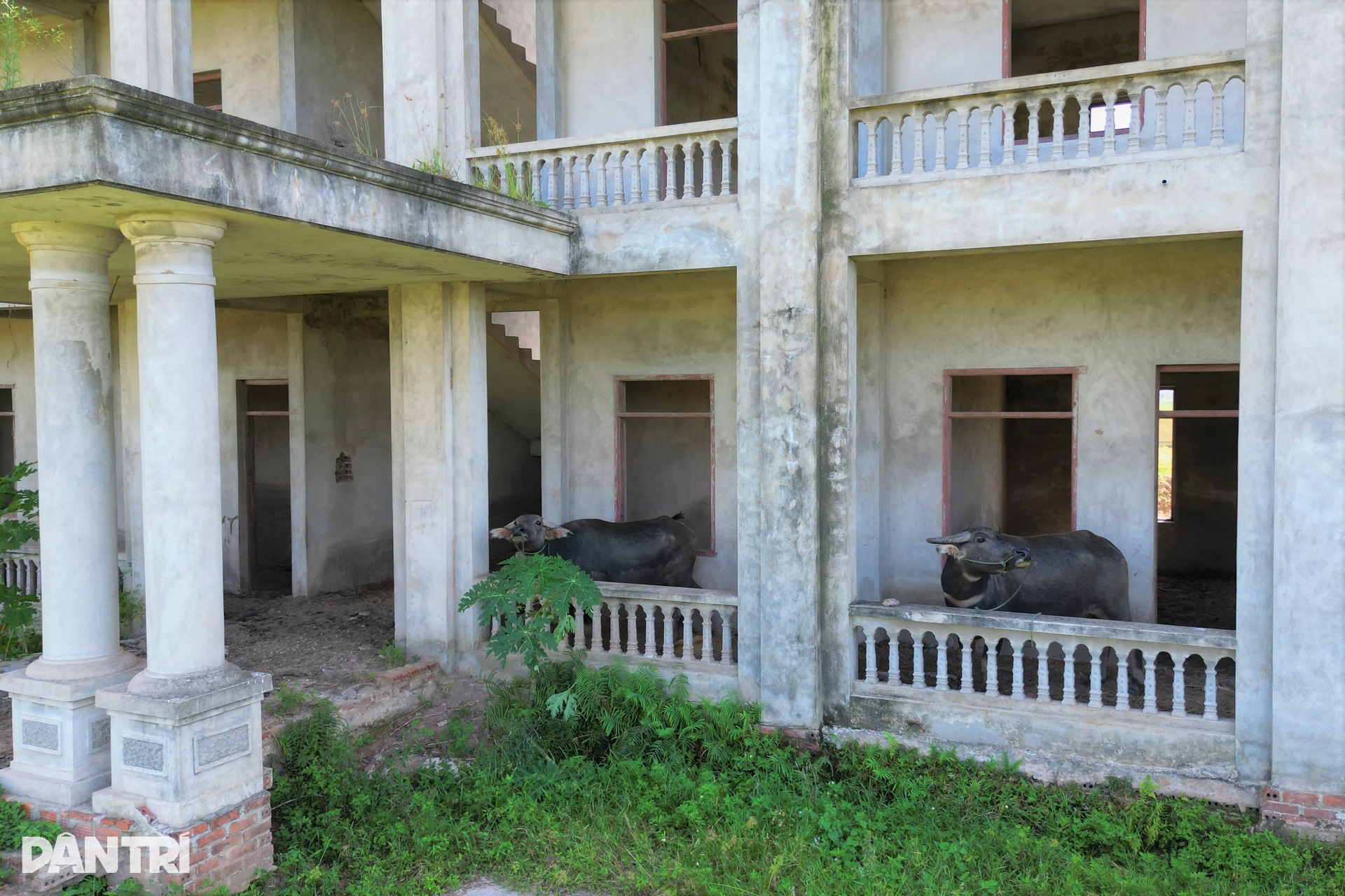 Dự án trường học đắp chiếu 10 năm giữa đồng - 7 Dự án trường học đắp chiếu 10 năm giữa đồng - 7