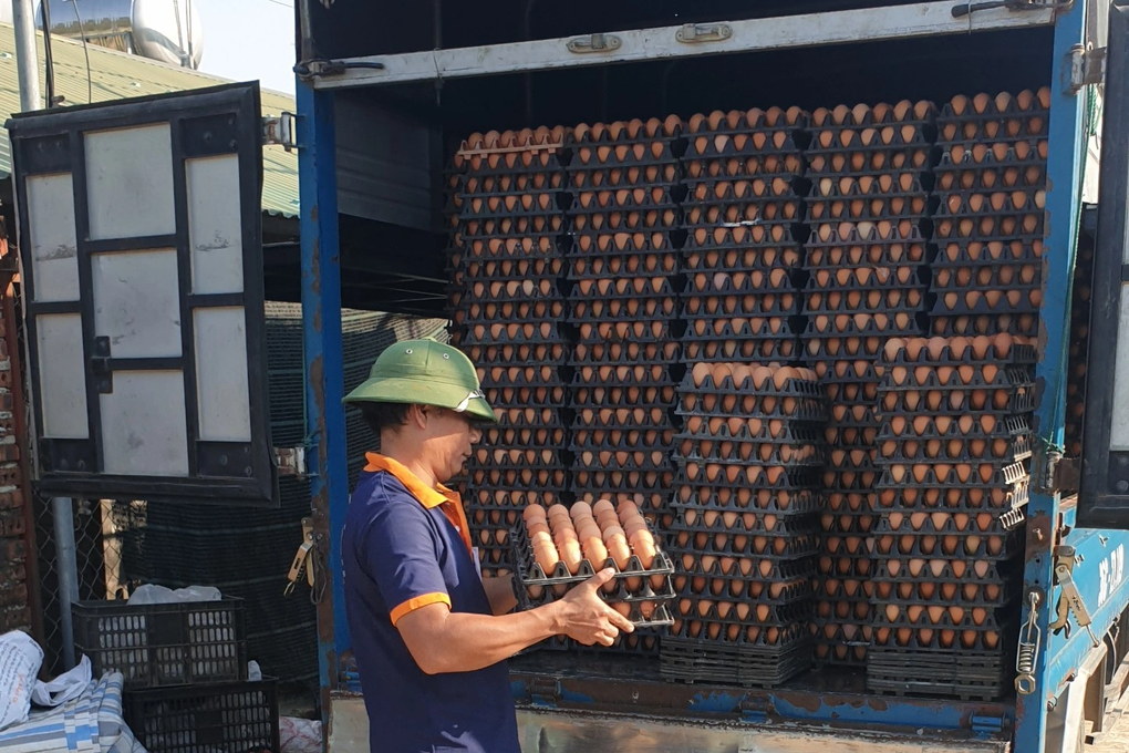 Cỗ máy nhả vàng mang về gần nửa tỷ đồng mỗi năm cho 8X - 6 Cỗ máy nhả vàng mang về gần nửa tỷ đồng mỗi năm cho 8X - 6