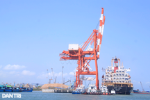 Đổ 3,7 triệu m3 bùn xuống biển Quy Nhơn: Khu vực nào nguy cơ bị ảnh hưởng?