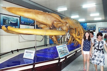 Bảo tàng Hải dương học vào top 10 bảo tàng hấp dẫn nhất Việt Nam