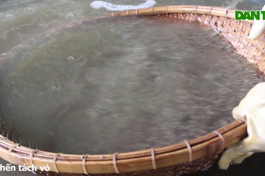 Làng chuyên nghề đảo nước, lọc ruột tại Quảng Nam