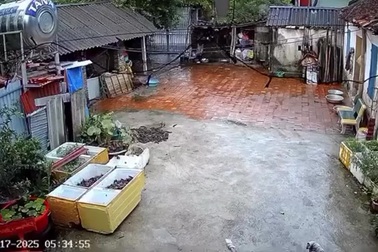 Xe tải mất lái, tông sập nhà ven đường