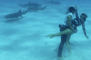 Ocean Ramsey khiêu vũ bên cá mập