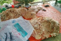 Phát hiện gần 1 tấn da heo “bẩn” chuẩn bị đem đi tiêu thụ