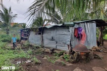 Thương 4 mẹ con sống nhờ lay lắt trong chuồng bò cũ nát