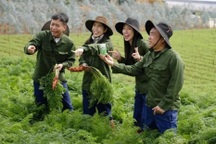 Kịch bản hoàn hảo lừa người mua của Quang Linh, Thùy Tiên và Hằng "Du mục"