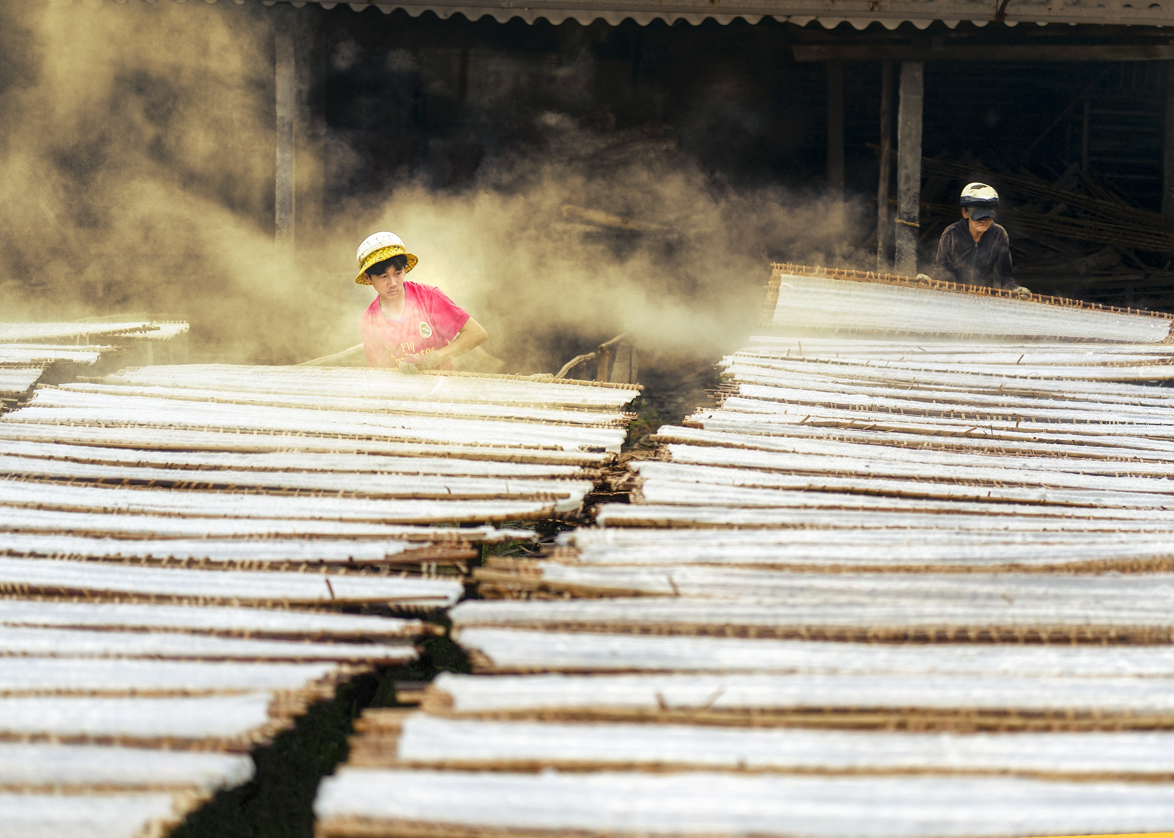 Sắc màu bột khoai