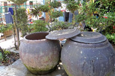 Chuyện không ngờ từ những ổ dịch SXH