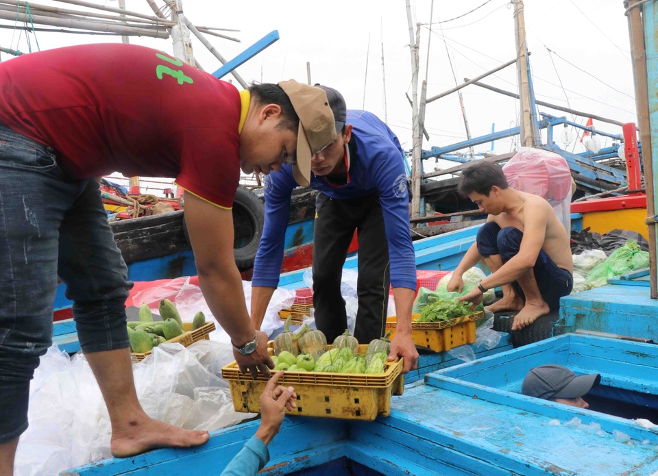 Phú Yên: Hàng trăm tàu cá của ngư dân háo hức vươn khơi đầu năm - 3 Phú Yên: Hàng trăm tàu cá của ngư dân háo hức vươn khơi đầu năm - 3