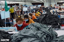 Bức tranh kinh tế tỉnh Bình Định biến động ra sao trong đại dịch?