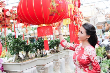 Hoa hậu Quý bà Sương Đặng tất bật sắm tết Việt trên đất Mỹ