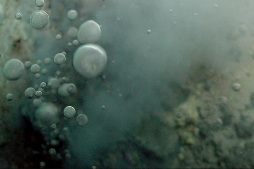 Nguồn gốc của sự sống trên Trái Đất có thể bắt đầu từ... suối nước nóng - 1