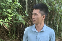 Triệu tập đối tượng thuê người khai thác vàng trái phép ở Lai Châu