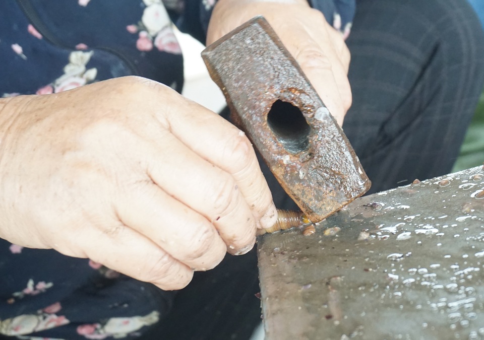 Nhọc nhằn đập trôn ốc, người phụ nữ kiếm bạc lẻ mỗi ngày - 2 Nhọc nhằn đập trôn ốc, người phụ nữ kiếm bạc lẻ mỗi ngày - 2