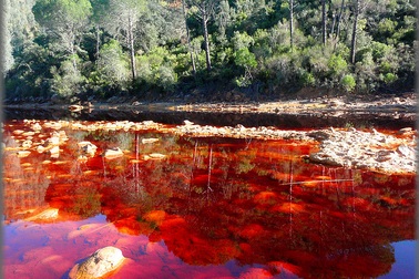 Dòng sông kỳ lạ với nước đỏ như màu máu