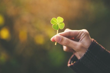 Những điều cần bắt tay làm ngay sau kỳ nghỉ Tết Tân Sửu 2021