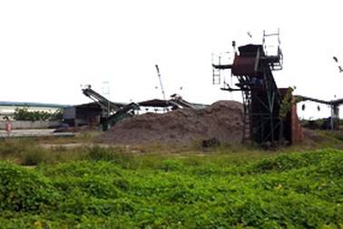 Phá sản vì bán gỗ dăm cho Trung Quốc 