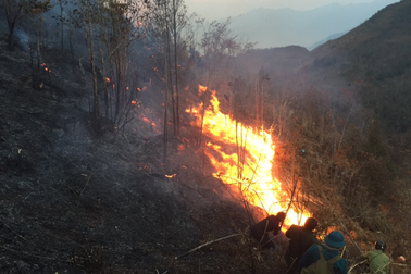 Nguy cơ cháy rừng Lào Cai tăng cao do trời hanh khô