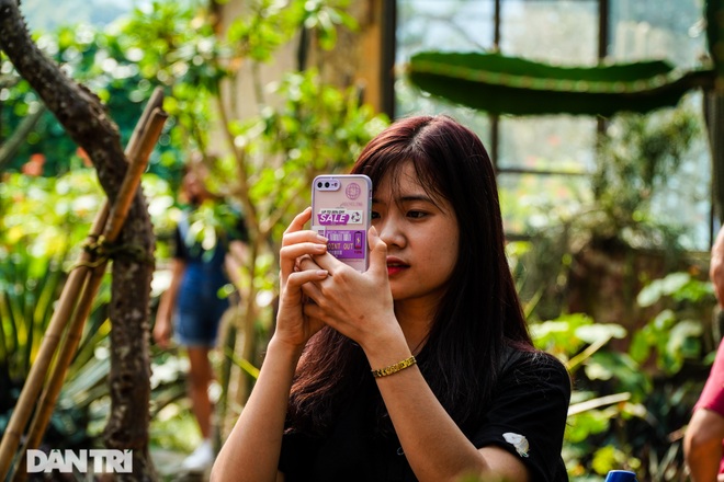 Những điểm check-in với xương rồng không thể bỏ qua ở Hà Nội - 5 Những điểm check-in với xương rồng không thể bỏ qua ở Hà Nội - 5