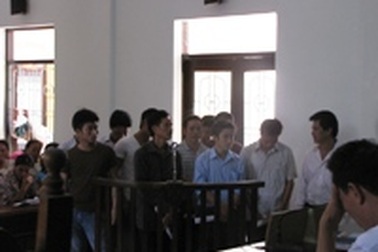 Nhóm “lâm tặc” đốn 3 cây sưa cổ thụ ở Phong Nha – Kẻ Bàng lĩnh án