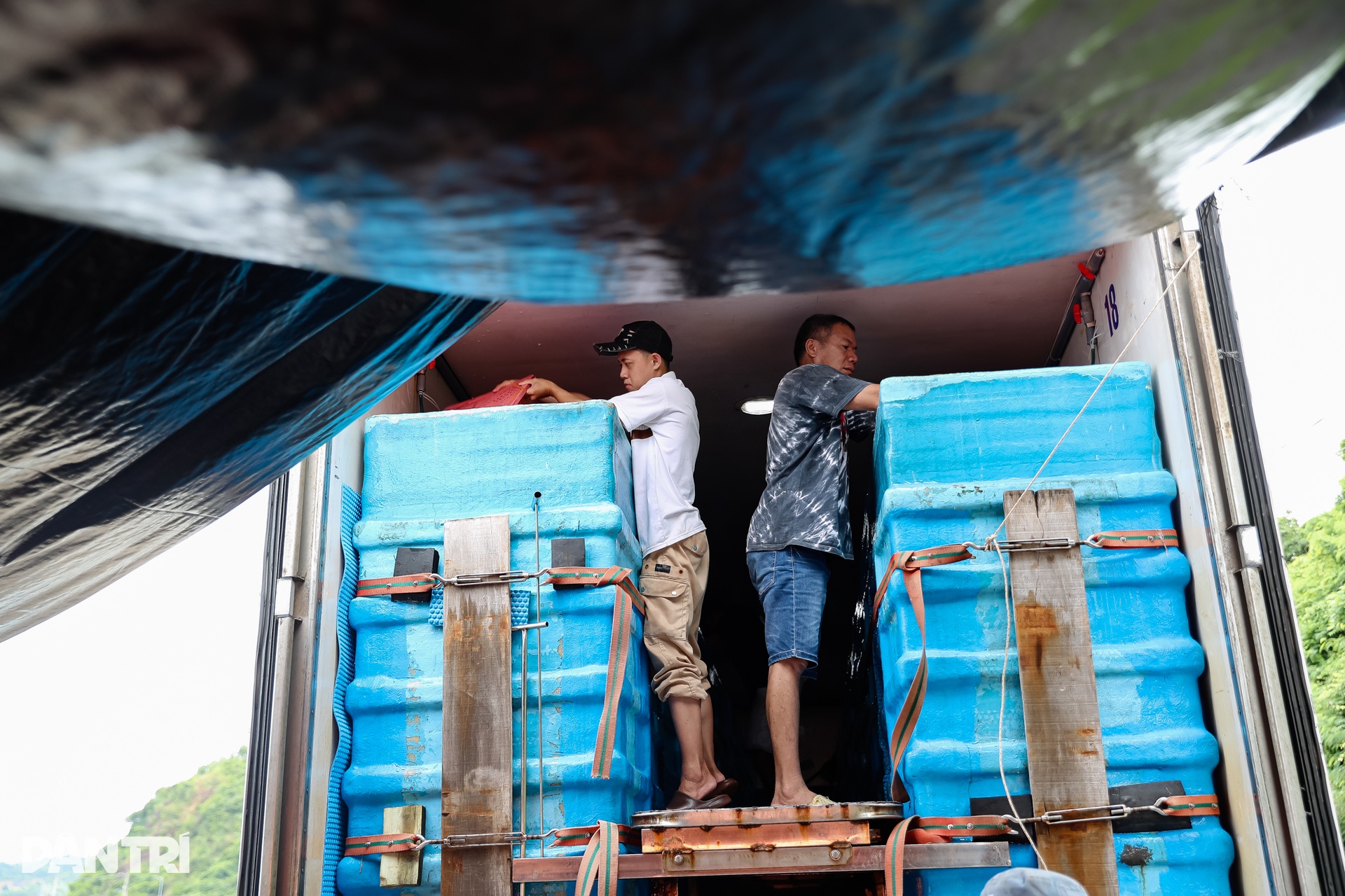 Ngư dân thủ phủ tôm hùm Việt Nam hối hả thu hoạch chạy bão Kalmaegi  - 8