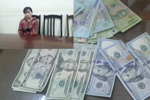 Người giúp việc dàn cảnh trộm đột nhập để lừa chủ nhà