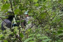 Tìm thấy thi thể người phụ nữ Ninh Bình mất tích khi vào núi bắt ốc