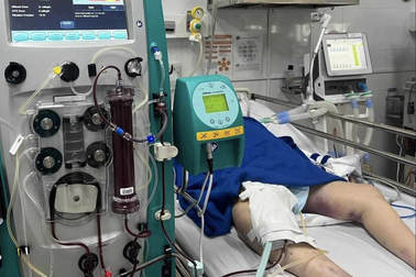 Nam thanh niên nghi bị người thân đầu độc Xyanua: Cân não quá trình cấp cứu