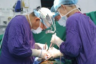 Việt Nam thực hiện 11 ca ghép phổi