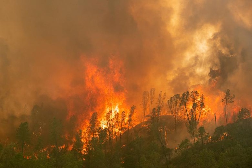 650 đám cháy rừng càn quét bang California, 7 người chết - 2 650 đám cháy rừng càn quét bang California, 7 người chết - 2