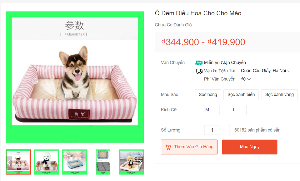 Lo thú cưng sốc nhiệt, chủ vung tiền triệu sắm đồ chống nóng - 1 Lo thú cưng sốc nhiệt, chủ vung tiền triệu sắm đồ chống nóng - 1