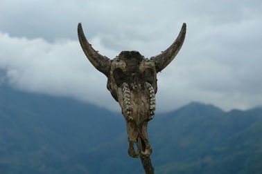 Kỳ bí nghĩa địa sọ trâu giữa lưng chừng trời