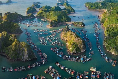 Vượt Đà Nẵng, Cát Bà là điểm du lịch biển được tìm kiếm nhiều nhất năm