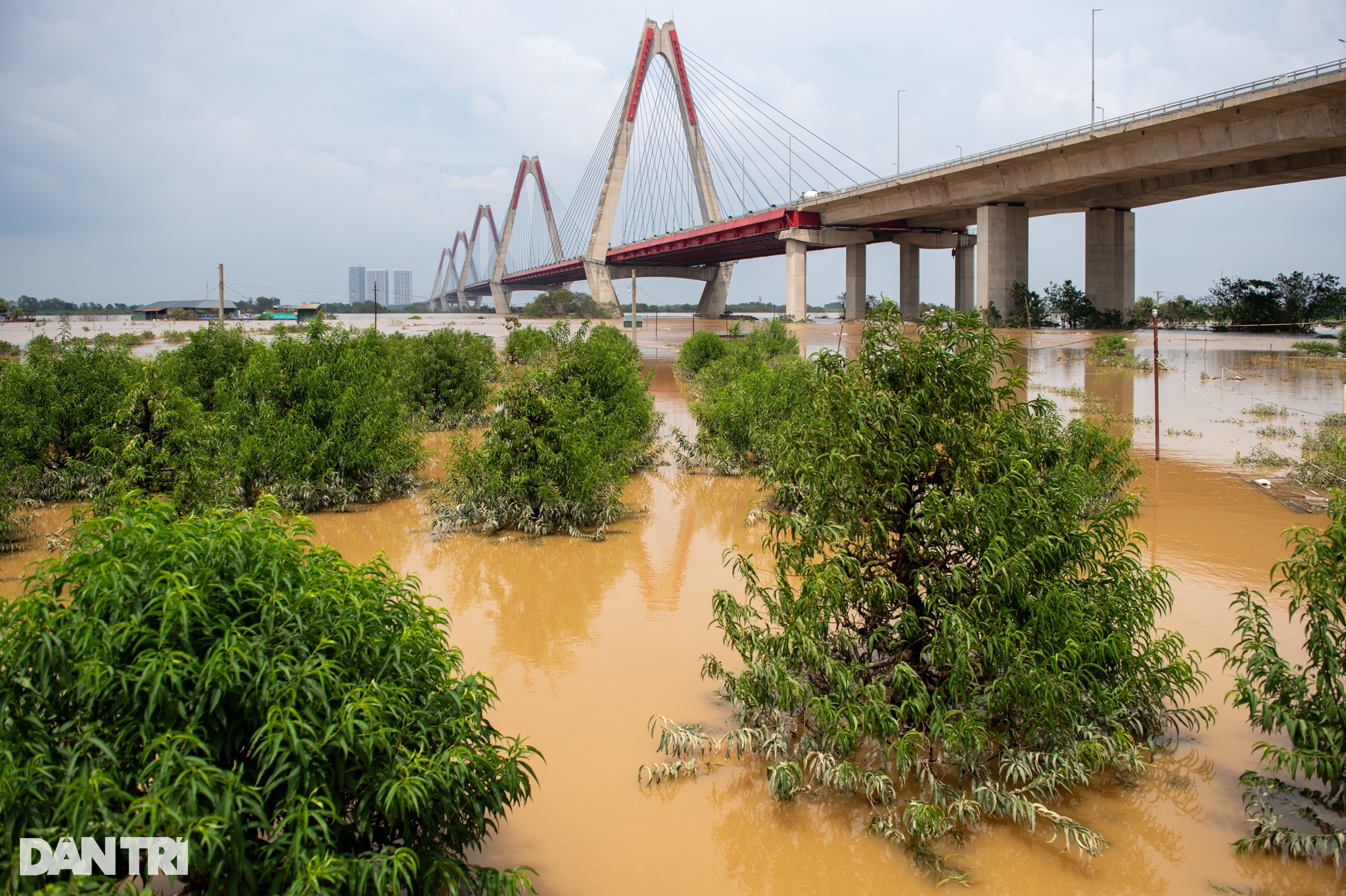 View - Mực nước sông Hồng giảm dần, người dân tranh thủ dọn dẹp sau lũ | Báo Dân trí