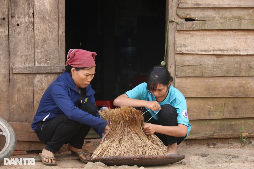 Bà đi mót từng bông lúa, nuôi hai cháu mồ côi - 3 Bà đi mót từng bông lúa, nuôi hai cháu mồ côi - 3